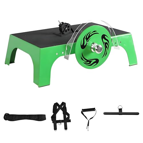 Flywheel Trainer for Full-Body Strength Training