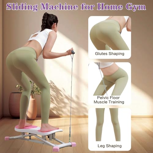Balance Board with Resistance Bands & LCD Monitor
