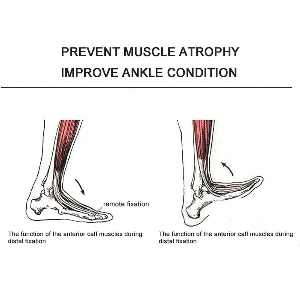 Ankle Dorsiflexion & Stretching Trainer