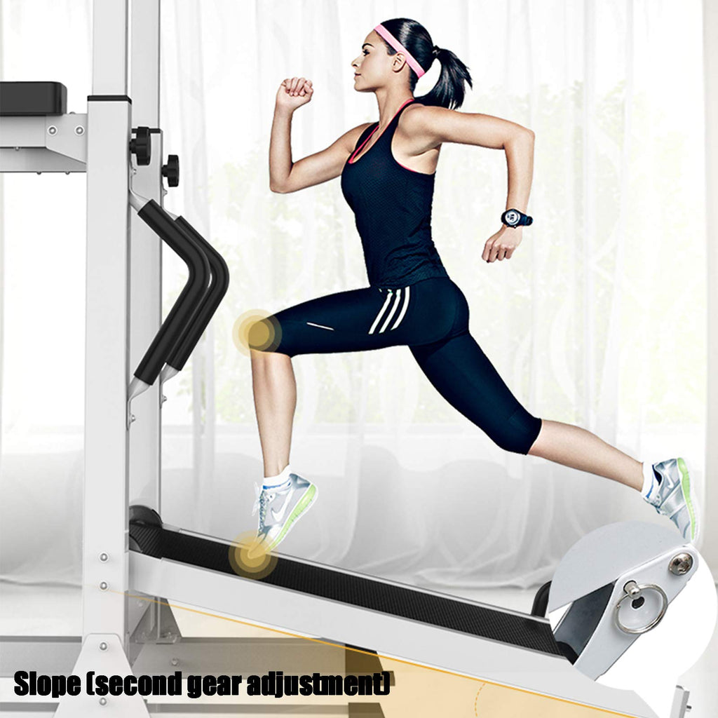300 KG Adjustable Pull-Up & Dip Station